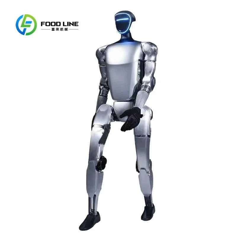 Customized Multi-Functional Humanoid Robot with Stable Locomotion for Sports Simulation and Combat Training