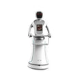 Design Plastic Restaurant Room Artificial Intelligent Food Delivery Smart Humanoid Service Waiter Robot