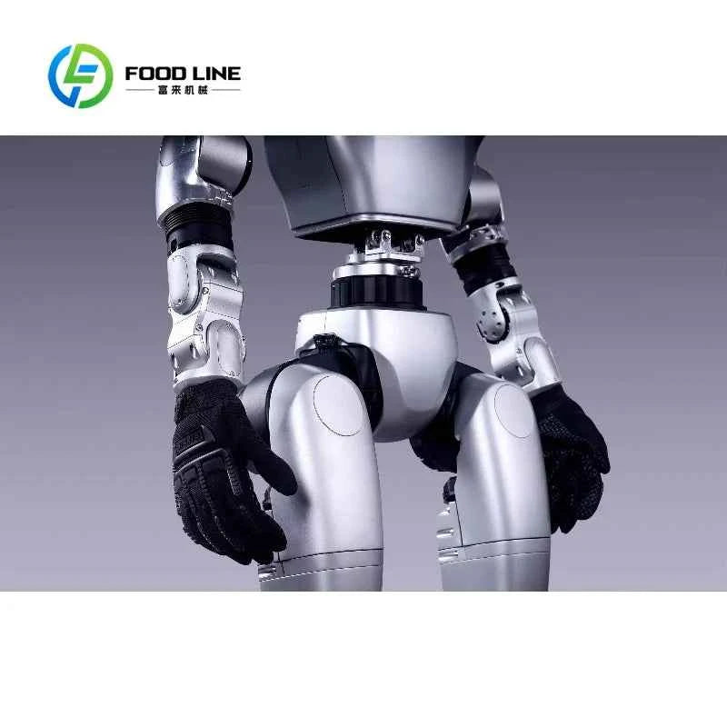 Customized Multi-Functional Humanoid Robot with Stable Locomotion for Sports Simulation and Combat Training